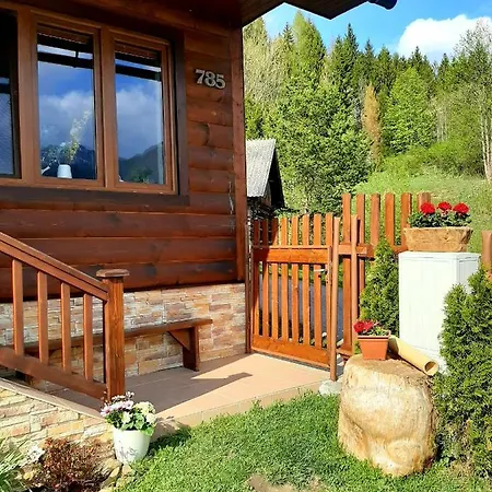 Viktoria- Neakceptujeme Mlade Partie